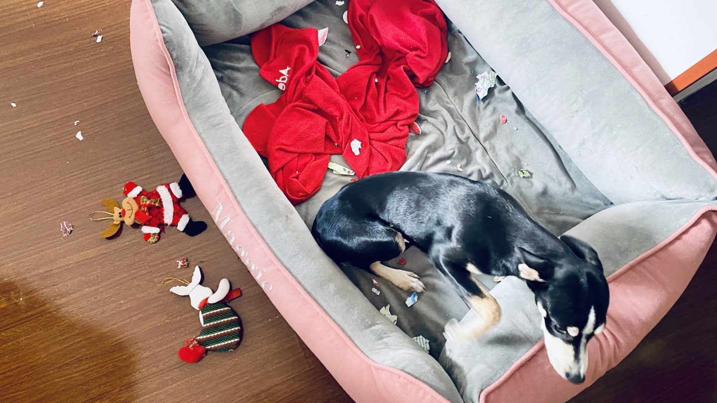 Encuentros navideños infantiles